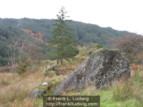 Ladies Brae, Ladies Bray, Ox Mountains